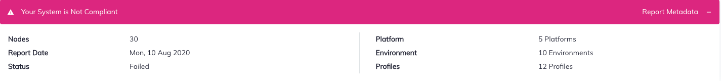 Chef Automate Report Metadata bar showing 30 Nodes, Report Date Mon, 10 Aug 2020, Status Failed on left side and 5 Platforms, 10 Environments, 12 Profiles on right side.